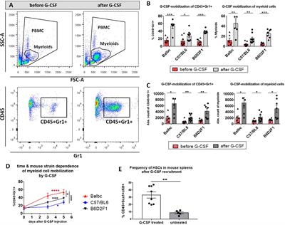 Novel pre-clinical mouse models for chronic Graft-versus-Host Disease